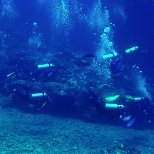 Divers in Group Underwater