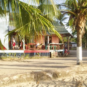 The Dive Shop