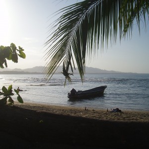 The Dive Boat