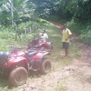 Quads checking out the climb