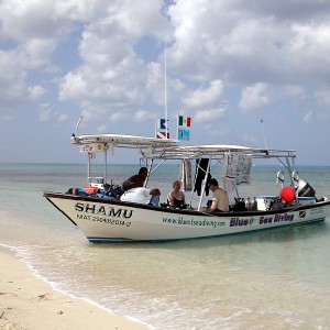 Surface Interval, Playa Palancar