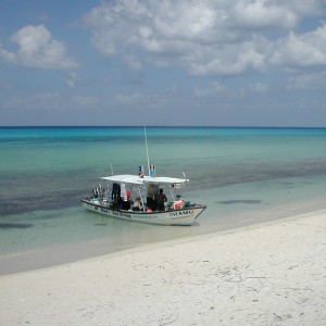 Surface Interval, Playa Palancar