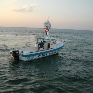 Bandida II - Blue XT Sea's New Boat