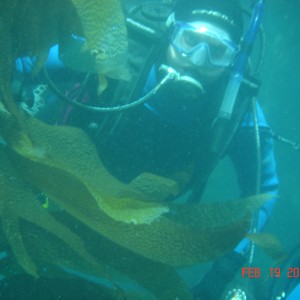 Thom_at_Giger_reef_kelp_forest