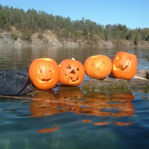 Pumpkin Carving Dive 2005