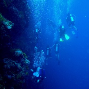 Diving the wall at Blue Hole Palau