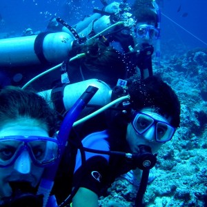 Some of my friends at Blue Corner Palau