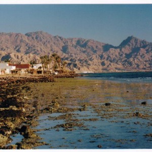 Dahab3