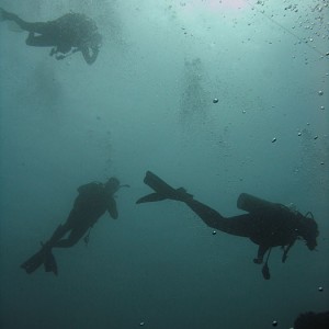 Sunball- Fellow divers