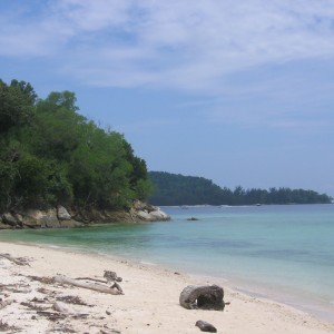 Kota Kinabalu Diving