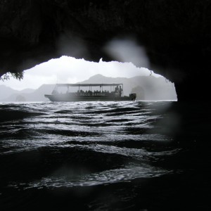 Bat Cave - Palau