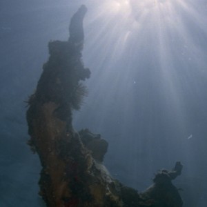 Christ of the Abyss