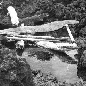 driftwood on lava rock tidal pool