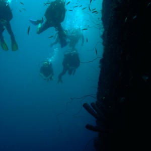 Curacao Superior Producer dive group