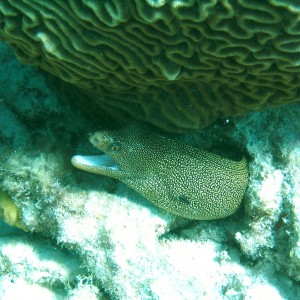 Bonaire 2006