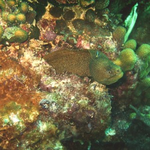 Bonaire 2006