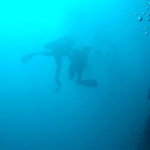 Silhouetted divers