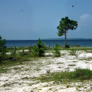 Perdido Bay from Soldier Creek looking South