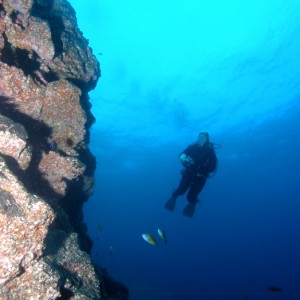 Gran_Canaria-ElCabron200637