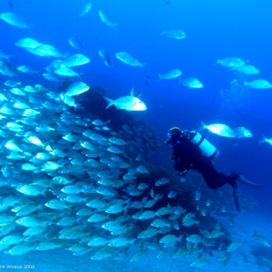 Gran_Canaria-ElCabron200645