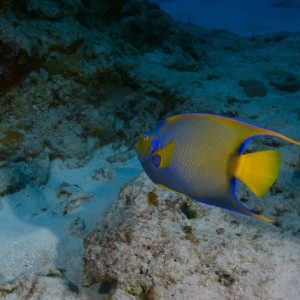 Cozumel October 2006