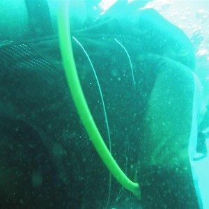 Sudany_diving_060