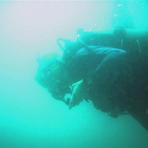 Sudany_diving_073