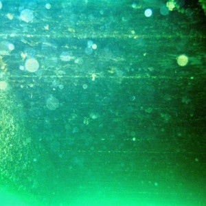 Sudany_diving_053
