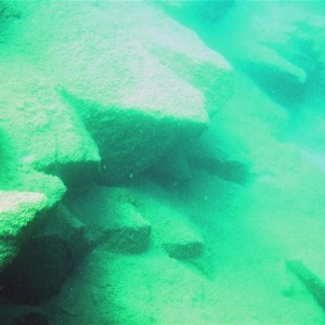 Sudany_diving_066