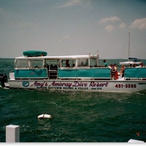 Amy's cattle boat
