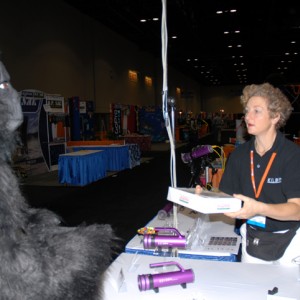 DEMA 2006