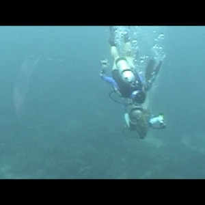 DIVING_THE_BVI_S