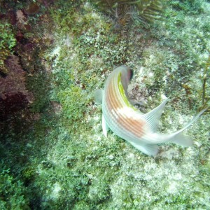 S_Grove_trip-23