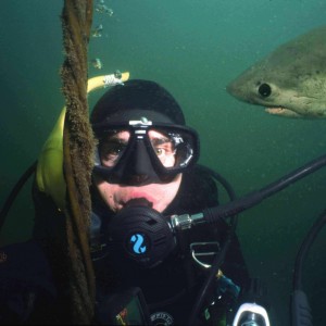 deco- salmon shark from CJ