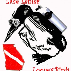 Lake Lanier Looney Birds Logo