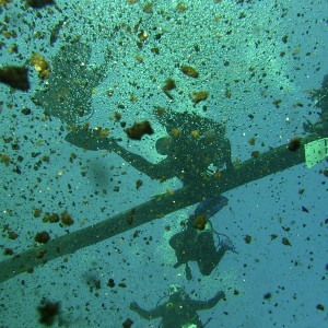 Looking out the hole at Morrison Springs