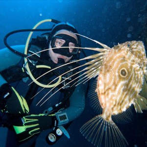 john dory