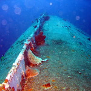 Bonaire Hilma Hooker