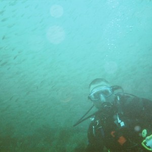 Diving on the Russian Freighter in Pensacola, Florida