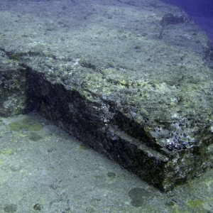 Head of the turtle monument at Yonaguni