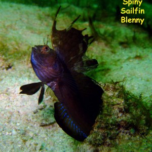 Las Burbujas, Mochima National Park, Venezuela