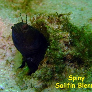 Las Burbujas, Mochima National Park, Venezuela