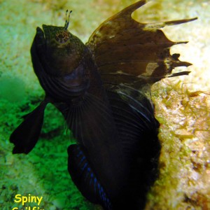 Las Burbujas, Mochima National Park, Venezuela