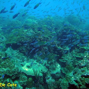 Boca de Cote, Los Roques, Venezuela