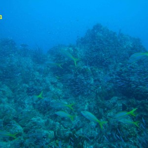 La Guaza, Los Roques, Venezuela