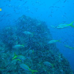 La Guaza, Los Roques, Venezuela