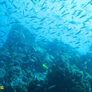 La Guaza, Los Roques, Venezuela