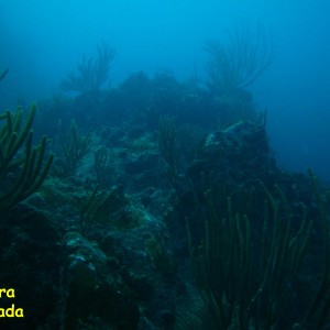 La Piedra Ahogada,Los Roques, Venezuela