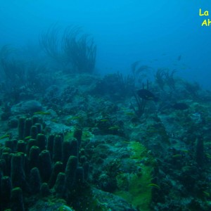 La Piedra Ahogada, Los Roques, Venezuela