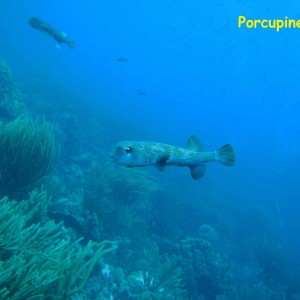 Boca de Cote, Los Roques, Venezuela